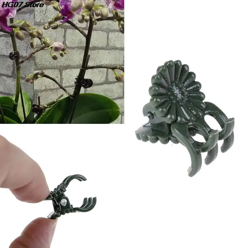 20 шт./лот зажимы для фиксации растений, Орхидея, стебель, поддержка винограда, цветы, зажим для завязывания ветвей
20 шт./лот зажимы для фиксации растений, Орхидея, стебель, поддержка винограда, цветы, зажим для завязывания ветвей
