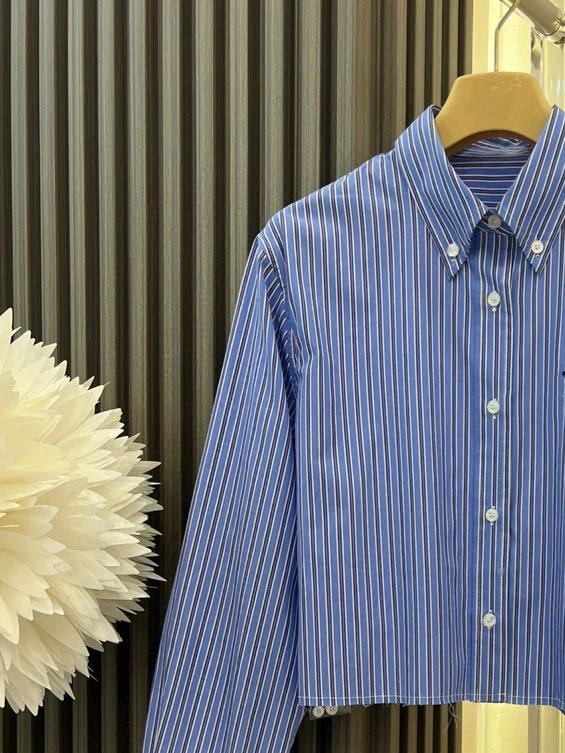 Женская короткая рубашка с длинным рукавом, винтажная рубашка в синюю полоску с вышивкой надписью, весна-осень 2023
Женская короткая рубашка с длинным рукавом, винтажная рубашка в синюю полоску с вышивкой надписью, весна-осень 2023