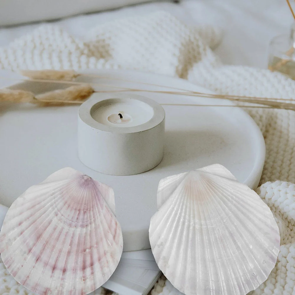 10pcs Scallop Shells DIY Seashell DIY Craft Material DIY Wedding Home Dinnerware Setsation
10pcs Scallop Shells DIY Seashell DIY Craft Material DIY Wedding Home Dinnerware Setsation