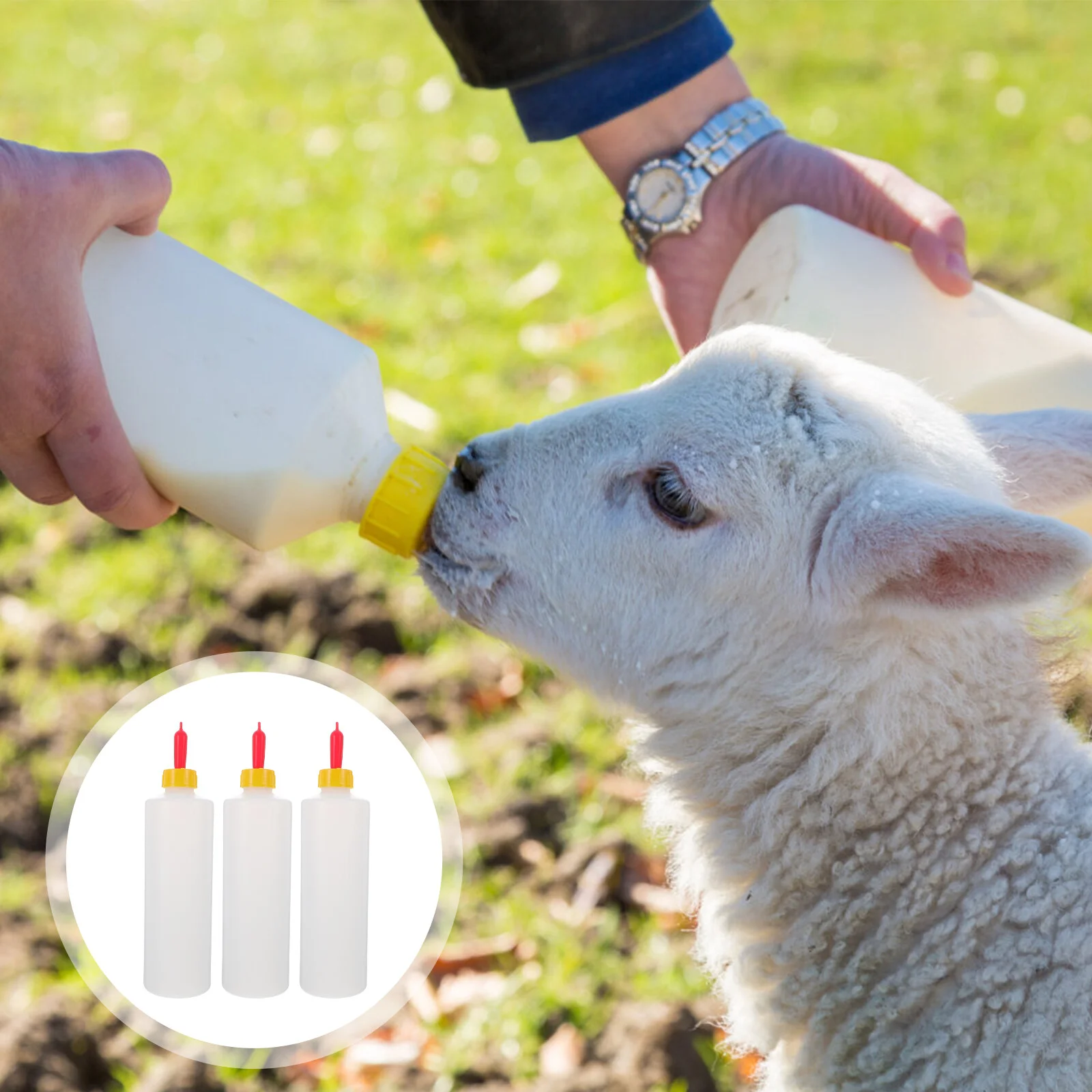 Puppies Young Livestock Milk Bottles Pet Feeding Container Lamb Sheep Plastic Animal Silicone Animals
Puppies Young Livestock Milk Bottles Pet Feeding Container Lamb Sheep Plastic Animal Silicone Animals