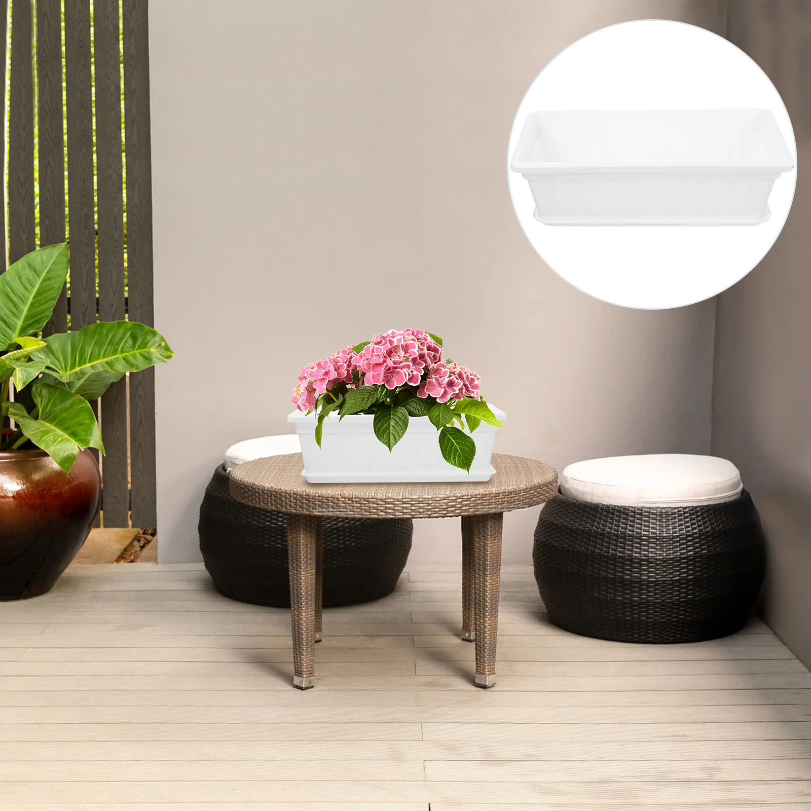 Flower Pots Pot Plants Planter Flowerpot Garden Planting Window Plant Rectangular Vegetables Breathable Tray Indoor Basin
Flower Pots Pot Plants Planter Flowerpot Garden Planting Window Plant Rectangular Vegetables Breathable Tray Indoor Basin