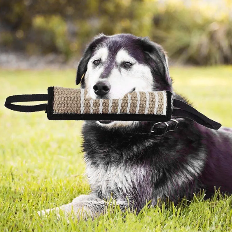 Durable Dog Tug Toy Pet Dog Bite Pillow Jute Bite Toys with 2 Handles Best for Tug of War Puppy Training Interactive Play Toys
Durable Dog Tug Toy Pet Dog Bite Pillow Jute Bite Toys with 2 Handles Best for Tug of War Puppy Training Interactive Play Toys