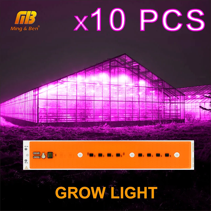 10 PCS LED Grow Chip Phytolamp For Plants Full Spectrum LED Grow Light 220V 30W/50W/80W Plant Indoor Hydroponic Greenhouse
10 PCS LED Grow Chip Phytolamp For Plants Full Spectrum LED Grow Light 220V 30W/50W/80W Plant Indoor Hydroponic Greenhouse