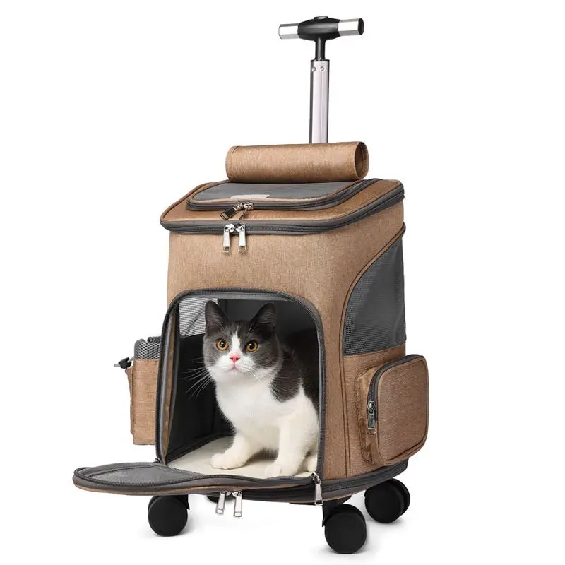 New Stylish Large-capacity Foldable Luggage Case Convenient Back Cat Breathable Pet Shoulders Two Portable Travel Cat Bags
New Stylish Large-capacity Foldable Luggage Case Convenient Back Cat Breathable Pet Shoulders Two Portable Travel Cat Bags