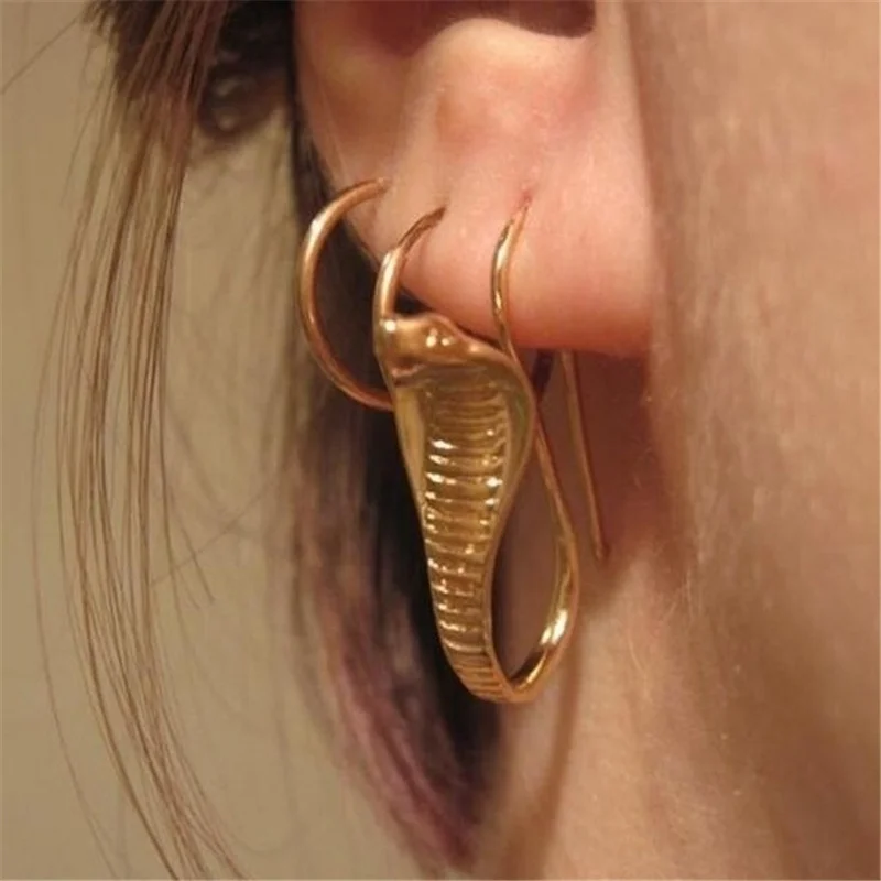 Punk Vintage Design Snake Earring Funny Geometric Snake Drop Dangle Earrings for Women Korean Fashion Designer Jewelry Gifts
Punk Vintage Design Snake Earring Funny Geometric Snake Drop Dangle Earrings for Women Korean Fashion Designer Jewelry Gifts