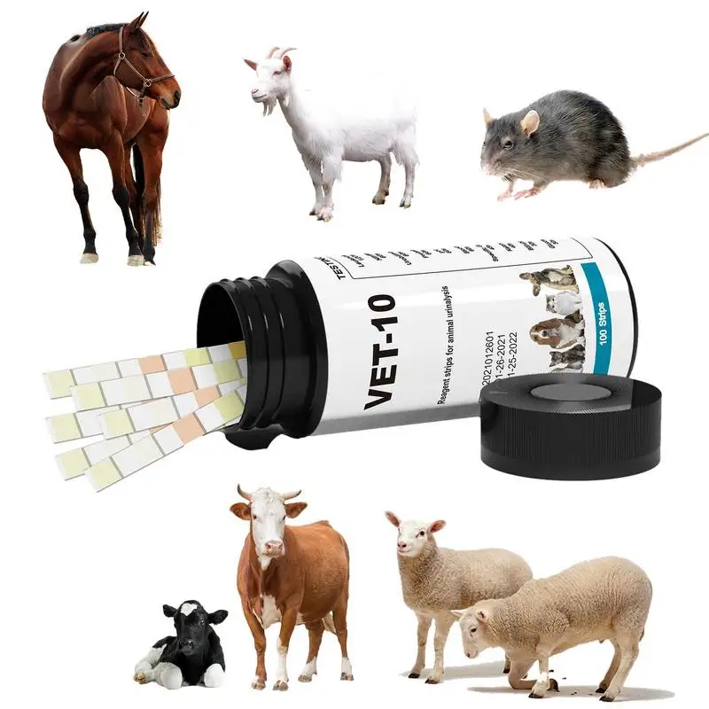 Pet Urine Test Strips Monitoring Pet Health 10 In 1 Urinalysis Test Strips 10 In 1 Detects White Blood Cells Urobilinogen
Pet Urine Test Strips Monitoring Pet Health 10 In 1 Urinalysis Test Strips 10 In 1 Detects White Blood Cells Urobilinogen