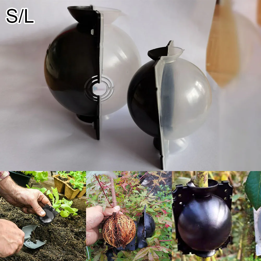 5Pcs 8/12cm Plant Root Growing Box High Pressure Botany Plant Rooting Device Propagation Ball Box Garden Grafting Case
5Pcs 8/12cm Plant Root Growing Box High Pressure Botany Plant Rooting Device Propagation Ball Box Garden Grafting Case