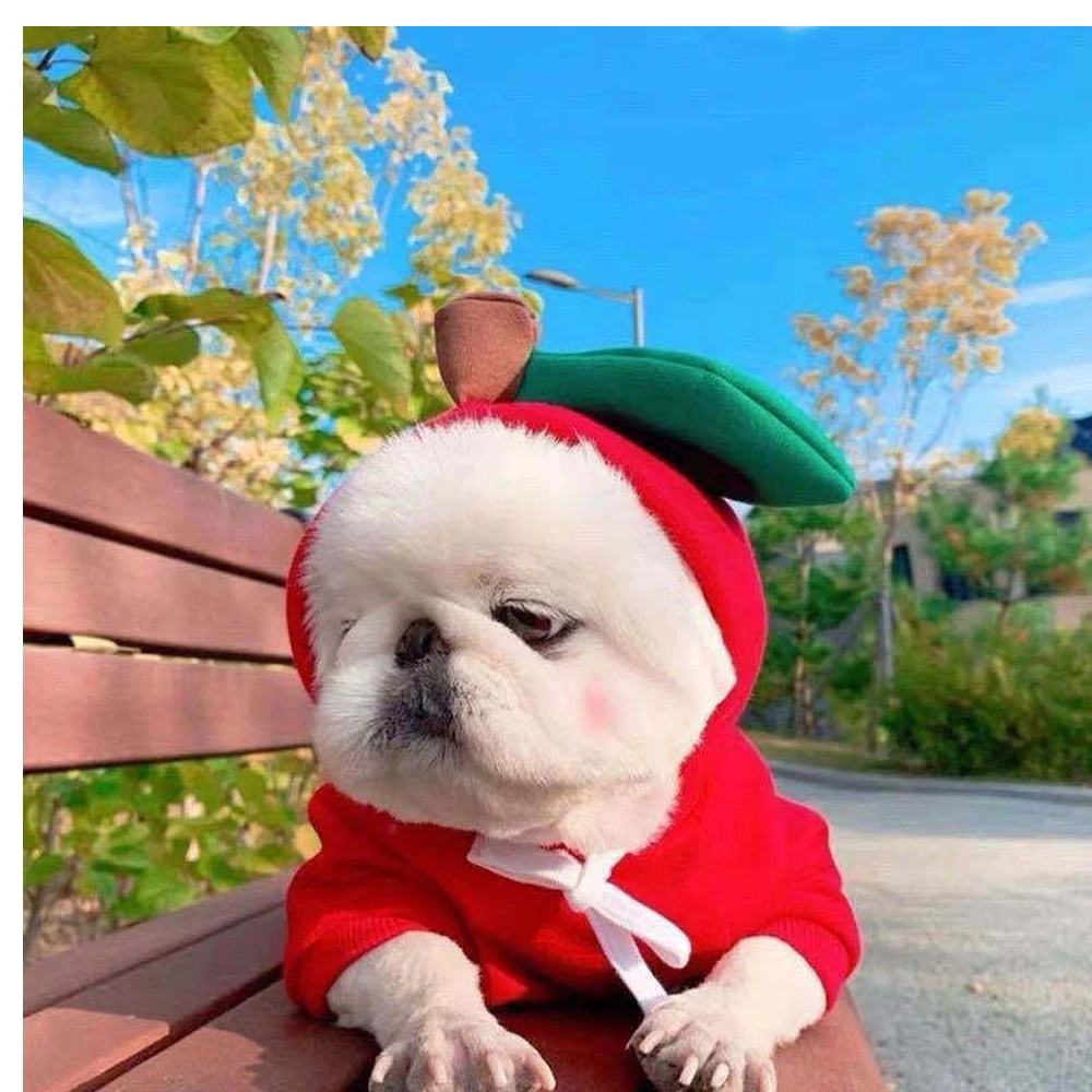 Cute Fruit Clothes For Small Medium Large Sized Dog Winter Autum Spring Warm Pet Dog Cothes Hoodie Coat Costume For Chihuahua
Cute Fruit Clothes For Small Medium Large Sized Dog Winter Autum Spring Warm Pet Dog Cothes Hoodie Coat Costume For Chihuahua