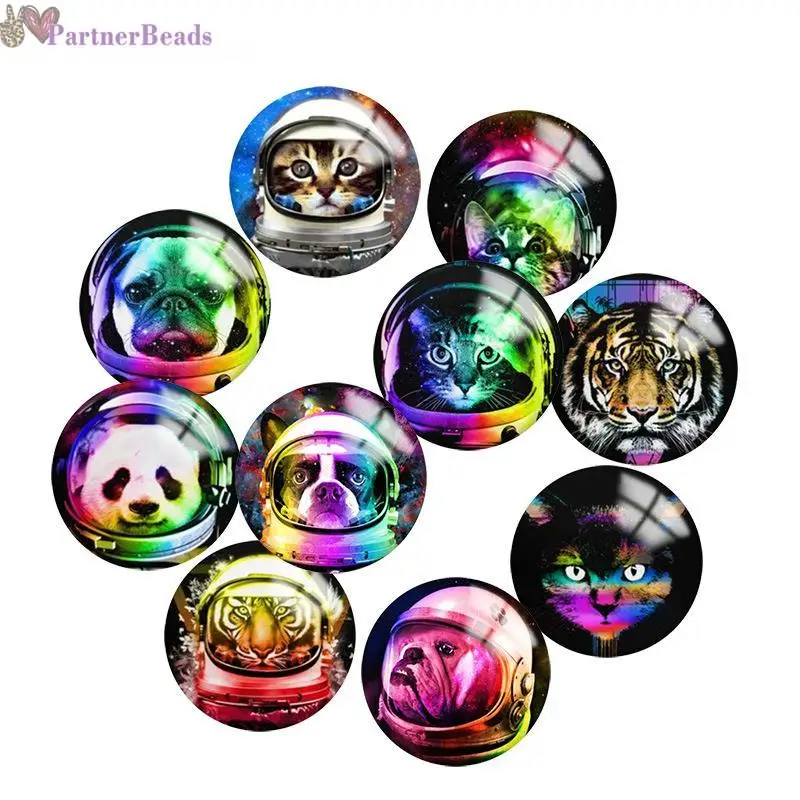 Colorful Animal Round Photo Glass Cabochon Demo Flat Back Making Findings 20mm Snap Button N2721
Colorful Animal Round Photo Glass Cabochon Demo Flat Back Making Findings 20mm Snap Button N2721