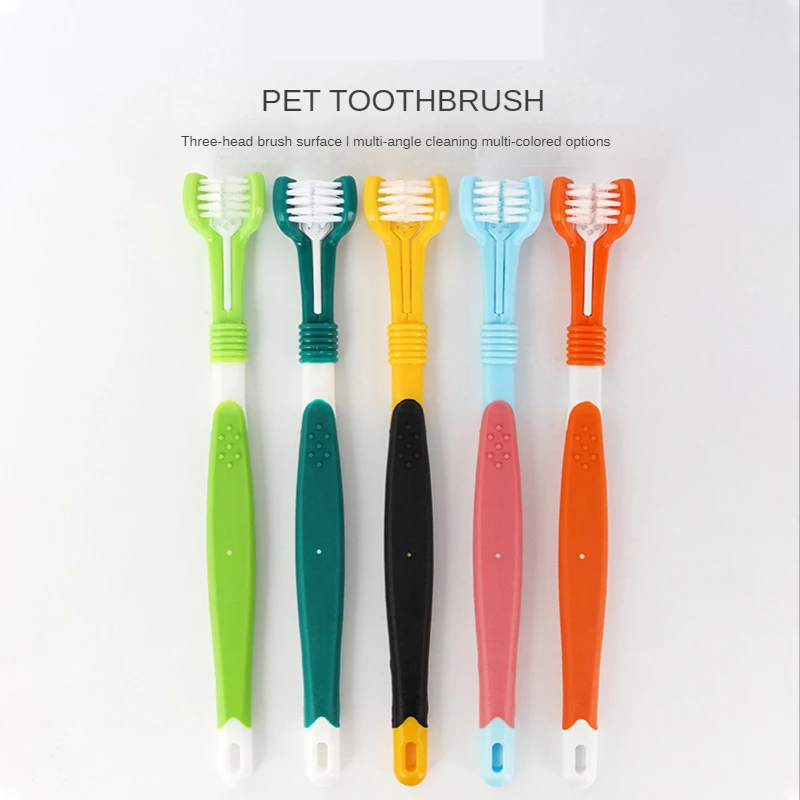 Dog Toothbrush Pet Toothbrush Oral CleaningDog Toothbrush Pet Accessories Cat Toothbrush Three Head ToothbrushPet Supplies
Dog Toothbrush Pet Toothbrush Oral CleaningDog Toothbrush Pet Accessories Cat Toothbrush Three Head ToothbrushPet Supplies