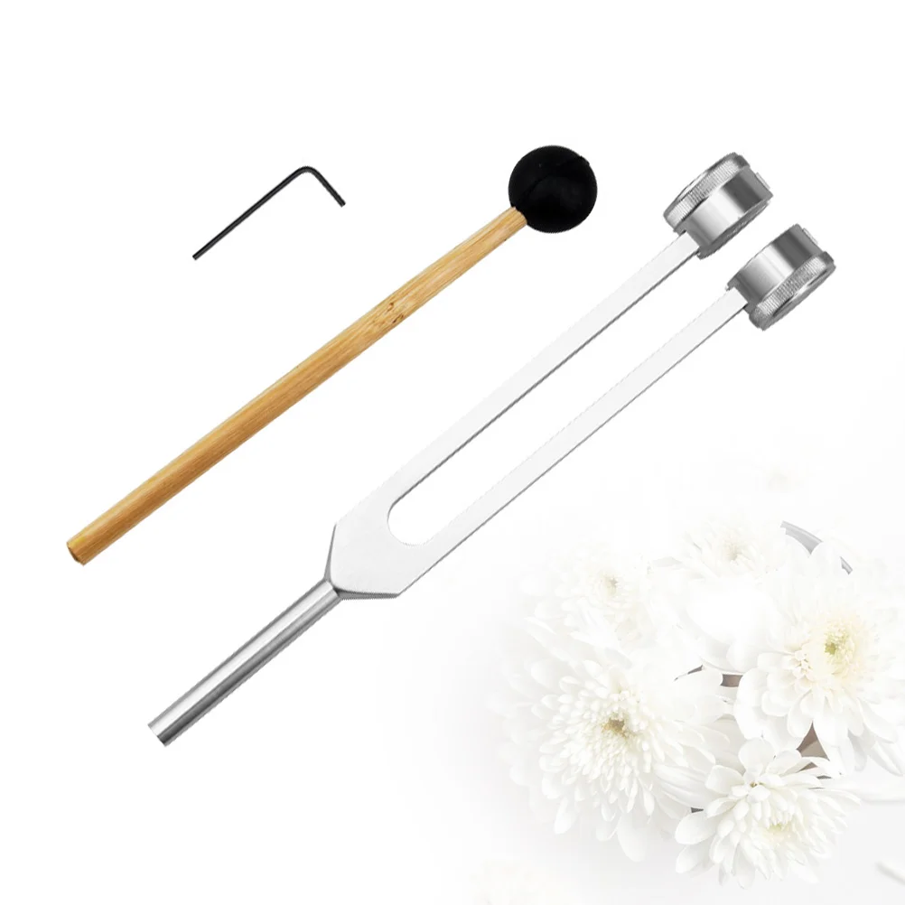 1pc Tuning Fork Professional Wax Remover Premium Metal Pick Bell Shaker Clean Tool Shaker Picking Tools
1pc Tuning Fork Professional Wax Remover Premium Metal Pick Bell Shaker Clean Tool Shaker Picking Tools