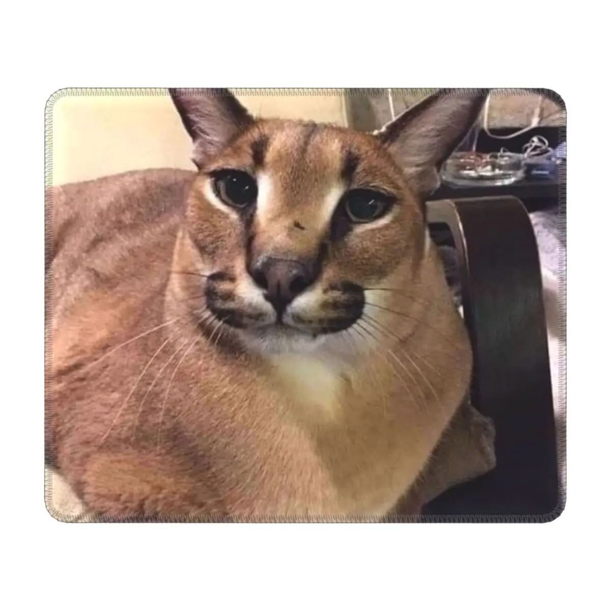 Custom Design PC Gamer Mouse Pad Anti-Slip Rubber Base Fashion Caracal Mousepad Office Desk Big Floppa Mat
Custom Design PC Gamer Mouse Pad Anti-Slip Rubber Base Fashion Caracal Mousepad Office Desk Big Floppa Mat