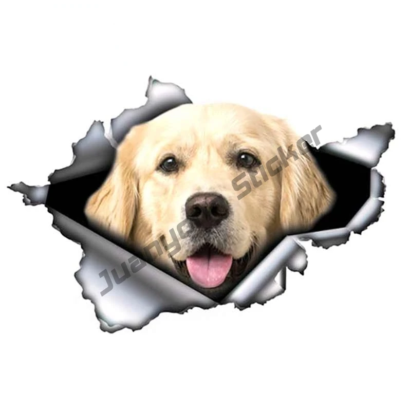 Bright Golden Retriever Car Sticker Torn Metal Decal Reflective Stickers Waterproof Styling Decor Camper Accessories PVC13x9cm
Bright Golden Retriever Car Sticker Torn Metal Decal Reflective Stickers Waterproof Styling Decor Camper Accessories PVC13x9cm