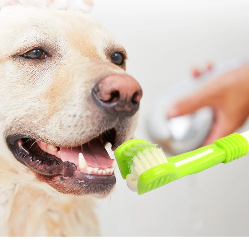 Three Sided Pet Toothbrush Dog Brush Dog Accessories Addition Bad Breath Tartar Teeth Care Dog Cat Cleaning Mouth For Pet
Three Sided Pet Toothbrush Dog Brush Dog Accessories Addition Bad Breath Tartar Teeth Care Dog Cat Cleaning Mouth For Pet