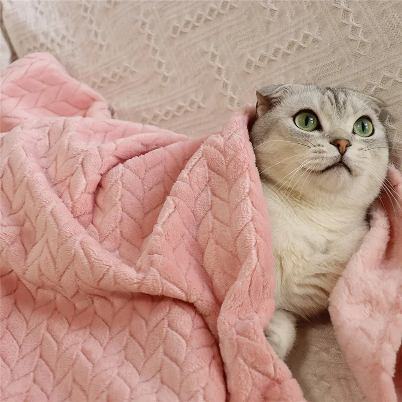 Коралловое Флисовое одеяло с рисунком ушей из пшеницы, мягкая теплая шаль с кондиционированием воздуха, искусственное одеяло, покрывало дл...
Коралловое Флисовое одеяло с рисунком ушей из пшеницы, мягкая теплая шаль с кондиционированием воздуха, искусственное одеяло, покрывало дл...