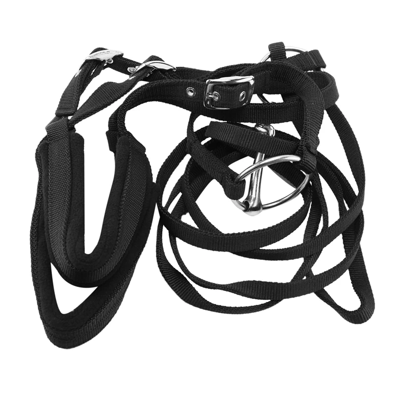 Hot Adjustable Horse Riding Equipment Halter Horse Bridle with Bit and Rein Belt for Horse Equestrian Accessories Soft Thicken L
Hot Adjustable Horse Riding Equipment Halter Horse Bridle with Bit and Rein Belt for Horse Equestrian Accessories Soft Thicken L