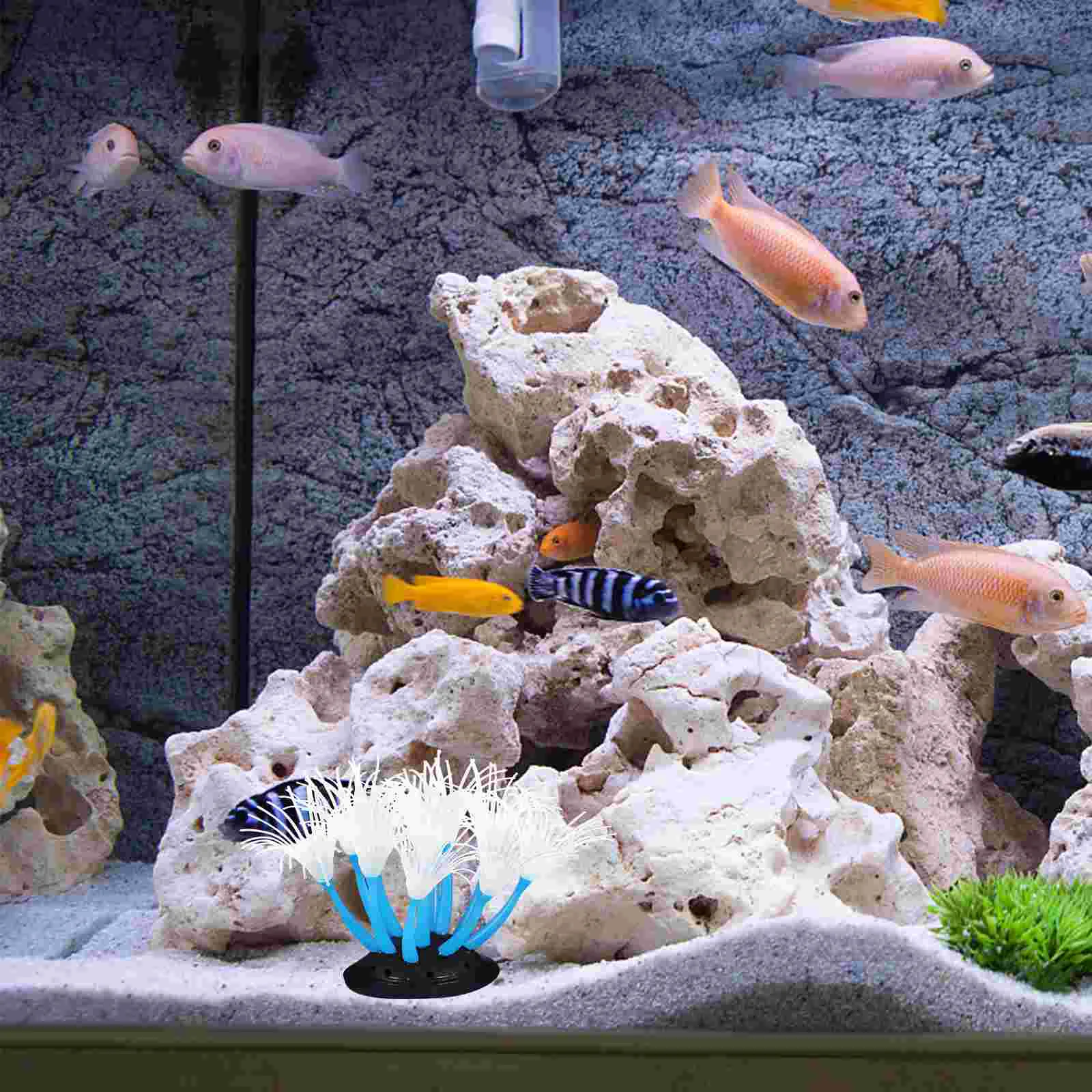 Ocean Decor Fish Tank Supplies Ornaments Artificial Coral Sea Landscape Silica Gel Aquarium Decorations Sculpture
Ocean Decor Fish Tank Supplies Ornaments Artificial Coral Sea Landscape Silica Gel Aquarium Decorations Sculpture