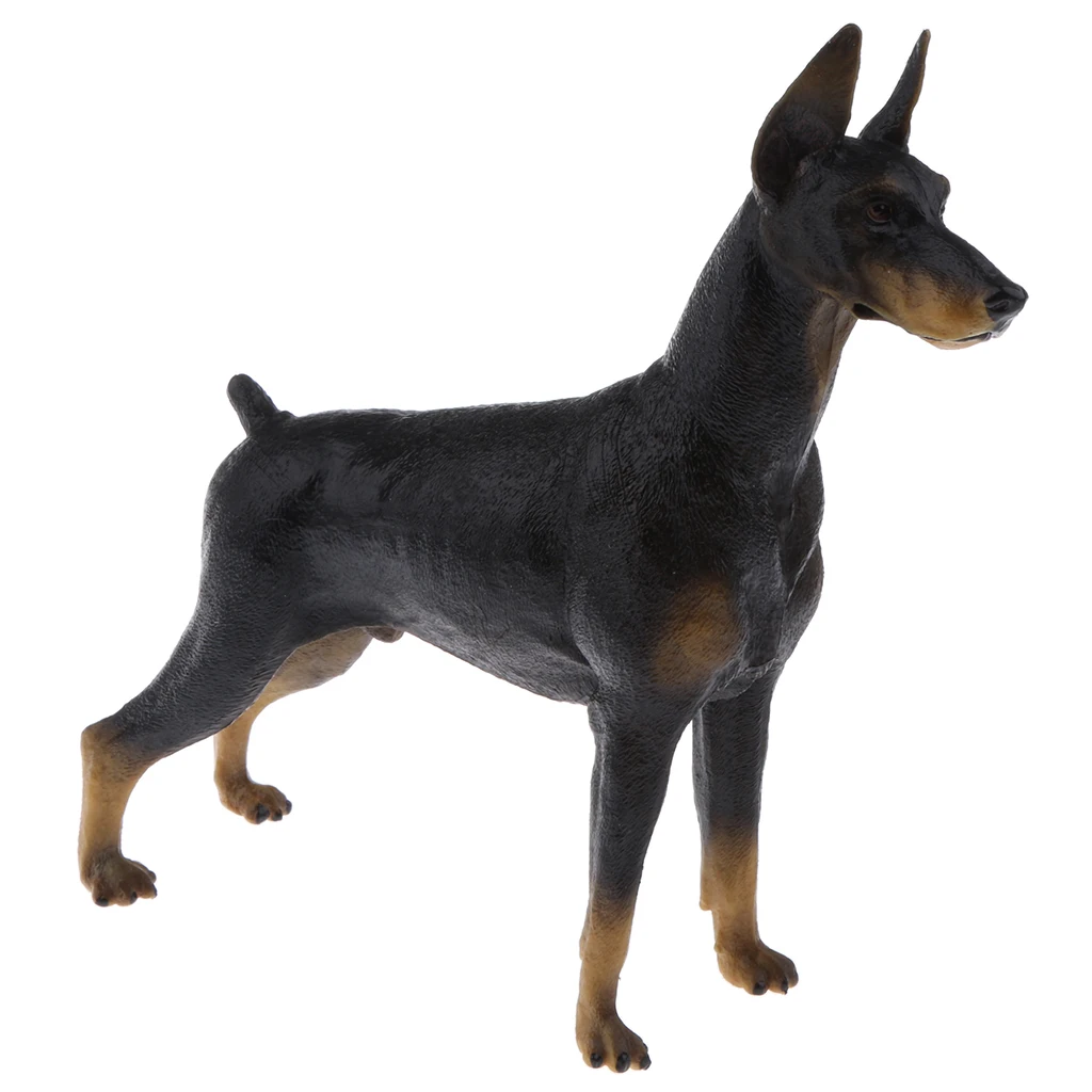 Realistic Doberman Model PVC Farm Animal Model Figurine Action Figures Playset Kids Educational Toy Collectibles
Realistic Doberman Model PVC Farm Animal Model Figurine Action Figures Playset Kids Educational Toy Collectibles