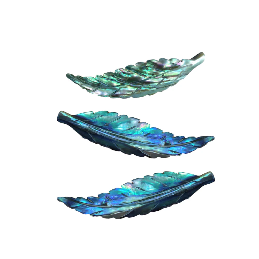 3 Pcs Abalone Shell Pendant Necklace Accessories Beaded Necklaces Jewelry Colorful Chain Supplies Pearl
3 Pcs Abalone Shell Pendant Necklace Accessories Beaded Necklaces Jewelry Colorful Chain Supplies Pearl