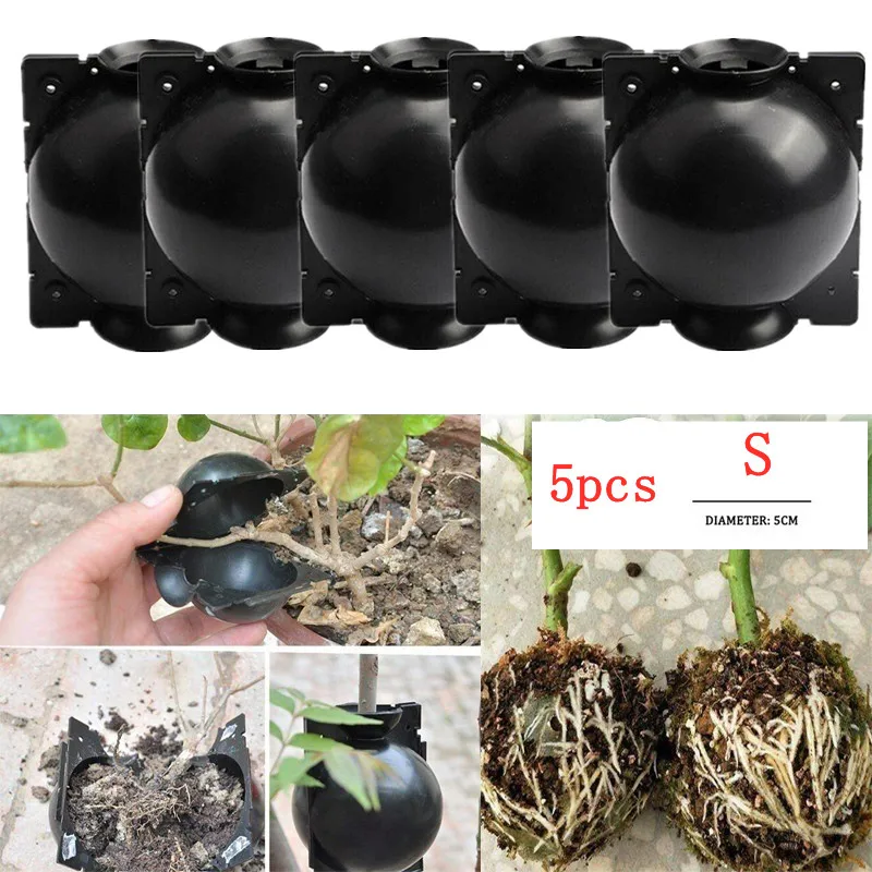 

5pcs Diameter 5cm Plant Rooting Ball Equipment High Pressure Propagation Breeding Case For Garden Sapling