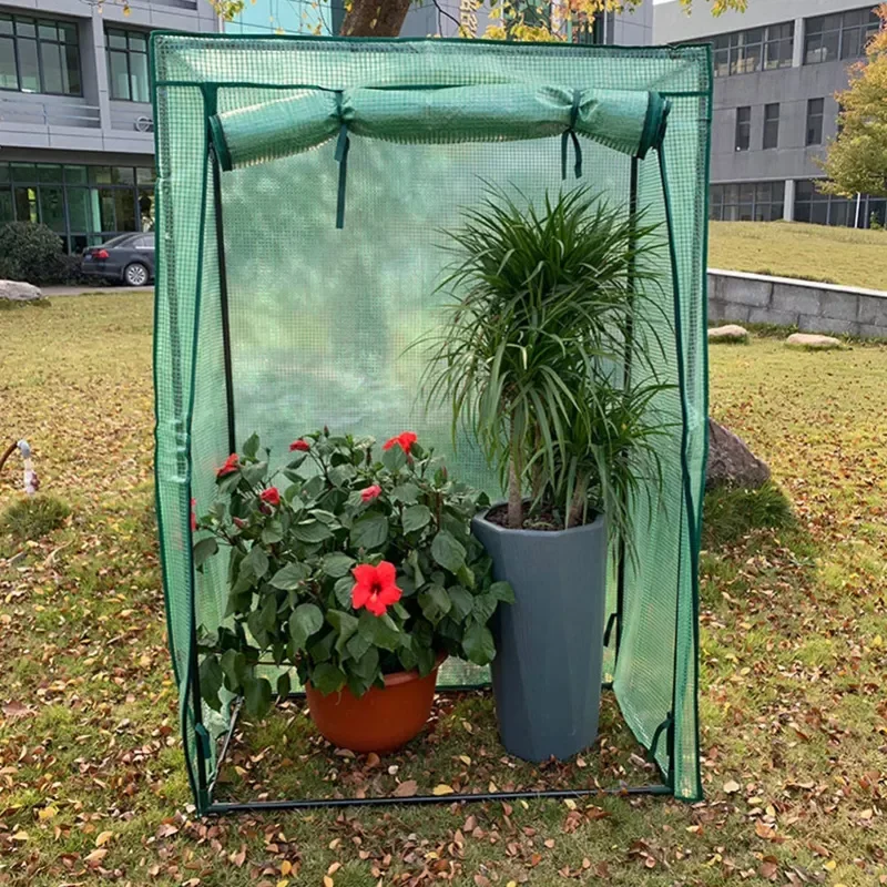 Outdoor Garden Tomato Plant Grow Greenhouse Reinforced Multi-meat Green Insulation Cover Only Plant Covers Garden Supplies
Outdoor Garden Tomato Plant Grow Greenhouse Reinforced Multi-meat Green Insulation Cover Only Plant Covers Garden Supplies