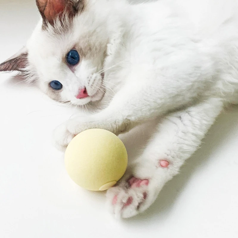 2022 New Cat Squeaky Catnip Toys Interactive Kitten Training Toy Pet Playing Ball Cats Supplies
2022 New Cat Squeaky Catnip Toys Interactive Kitten Training Toy Pet Playing Ball Cats Supplies