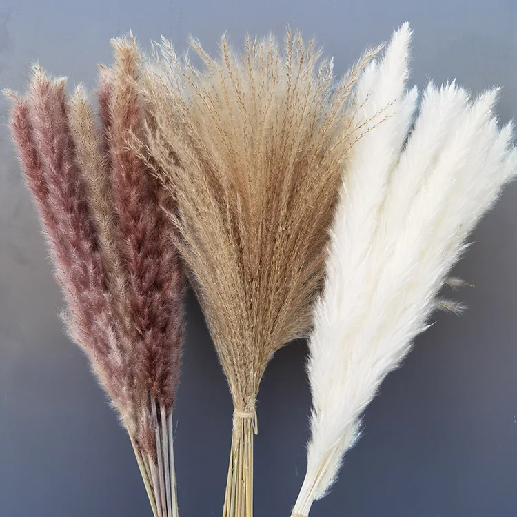 Букет Пампа из травы, цветок, свадебное украшение в стиле бохо, искусственные растения, домашний букет из сушеных цветов
Букет Пампа из травы, цветок, свадебное украшение в стиле бохо, искусственные растения, домашний букет из сушеных цветов