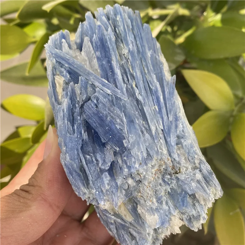 1PCSNatural Kyanite Raw Ore Irregular Energy Stone Reiki Healing Sornamental Stone Collect Souvenir Home Decoration Gifts
1PCSNatural Kyanite Raw Ore Irregular Energy Stone Reiki Healing Sornamental Stone Collect Souvenir Home Decoration Gifts