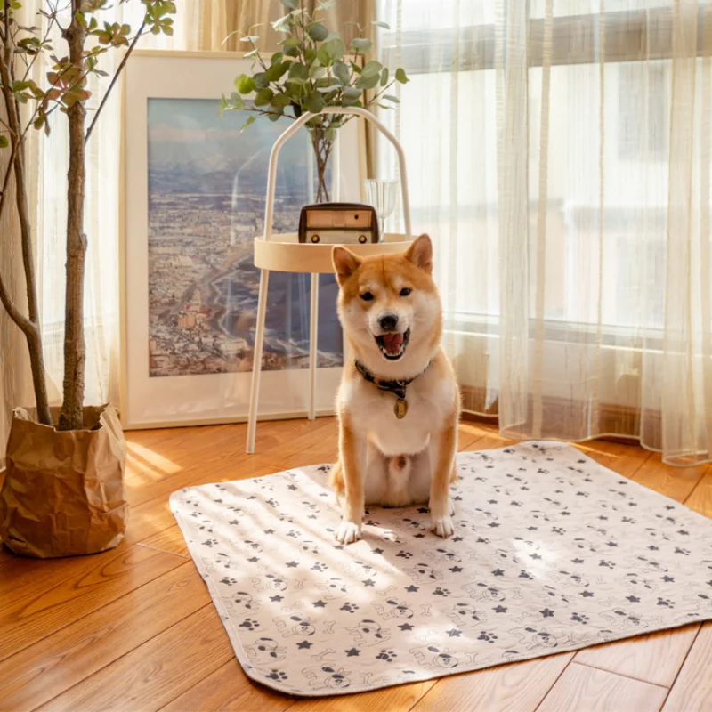 Dog Cushion Reusable Pet Urine Pad Washable Dog Cat Diaper Mat 3 Layer Absorbent Dogs Diapers Pads Bone Paw Print for Sofa Bed
Dog Cushion Reusable Pet Urine Pad Washable Dog Cat Diaper Mat 3 Layer Absorbent Dogs Diapers Pads Bone Paw Print for Sofa Bed