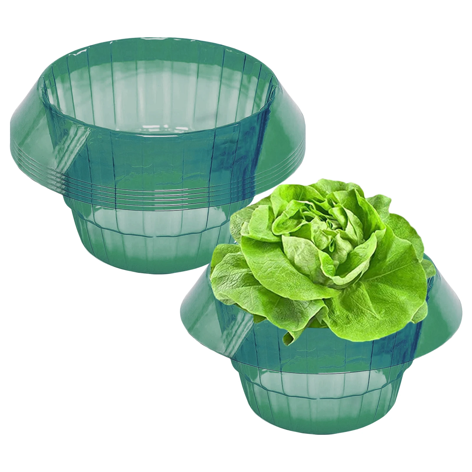 Кольца в виде салата, улитки, воротник для защиты растений от колокольчиков
Кольца в виде салата, улитки, воротник для защиты растений от колокольчиков