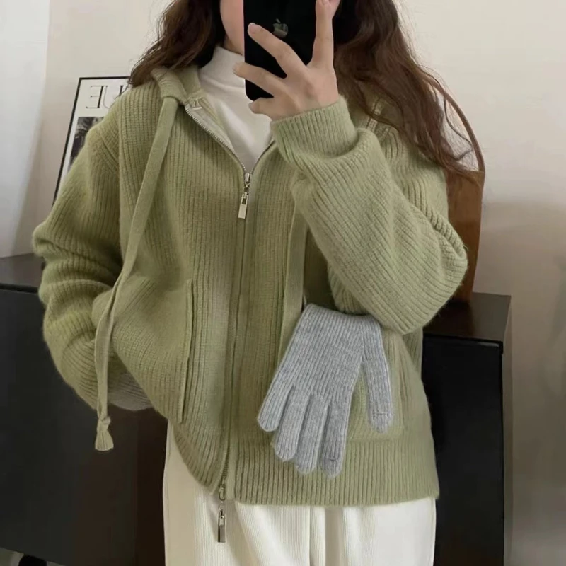Korean Autumn/Winter New Hooded Thickened Cardigan Zipper Sweater Women's Coat tops Woman clothing
Korean Autumn/Winter New Hooded Thickened Cardigan Zipper Sweater Women's Coat tops Woman clothing