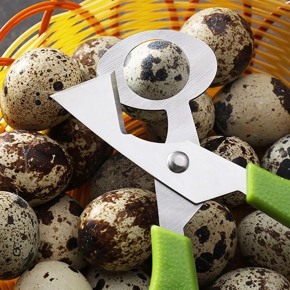Quail Egg Scissors Hand Egg Cutters Egg Durable Steel Shear Cut Cracker Blade Cigar Opener U9w7
Quail Egg Scissors Hand Egg Cutters Egg Durable Steel Shear Cut Cracker Blade Cigar Opener U9w7
