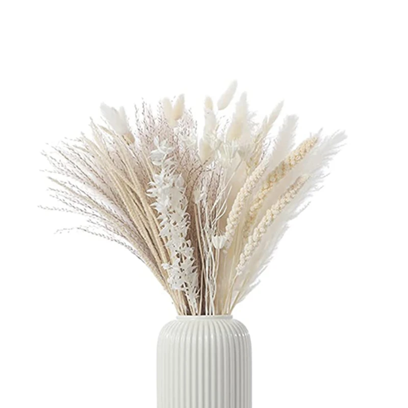Natural Dried Pampas Grass - 85 Stems Assorted Dried Flowers For Vase Boho Home Decor For Wedding Decoration 17Inch
Natural Dried Pampas Grass - 85 Stems Assorted Dried Flowers For Vase Boho Home Decor For Wedding Decoration 17Inch