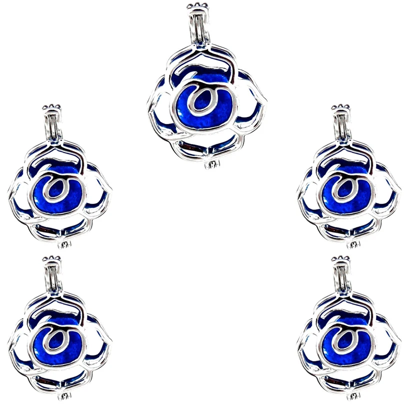 10Pcs Plain Charm Flower Of Rich Pearl Cage Locket Aromatherapy Diffuser Pendant Necklace Bracelet Customied Jewelry Making Bulk
10Pcs Plain Charm Flower Of Rich Pearl Cage Locket Aromatherapy Diffuser Pendant Necklace Bracelet Customied Jewelry Making Bulk