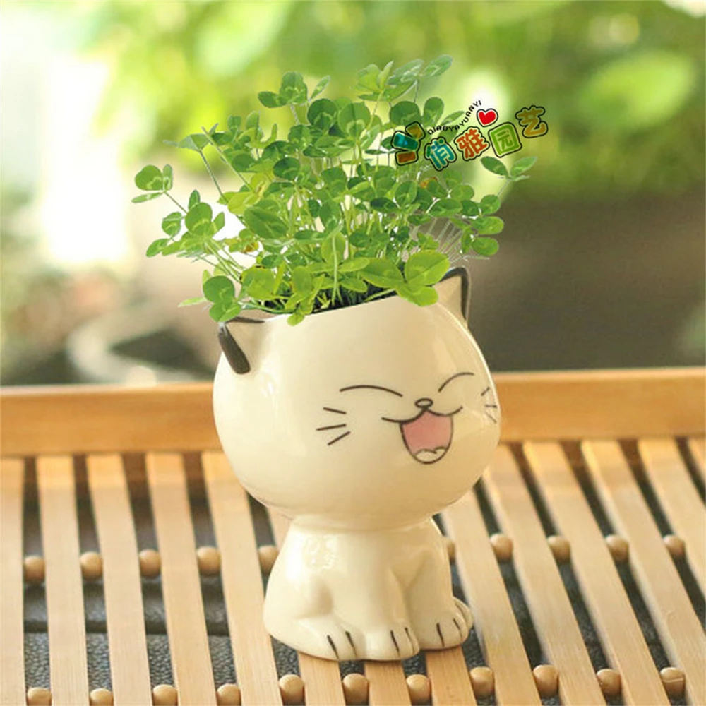 1pc Artificial Plants Green Cat Bonsai Small Tree Plants Fake Flower Potted Ornaments for Home Garden Party Craft Plant Decor
1pc Artificial Plants Green Cat Bonsai Small Tree Plants Fake Flower Potted Ornaments for Home Garden Party Craft Plant Decor