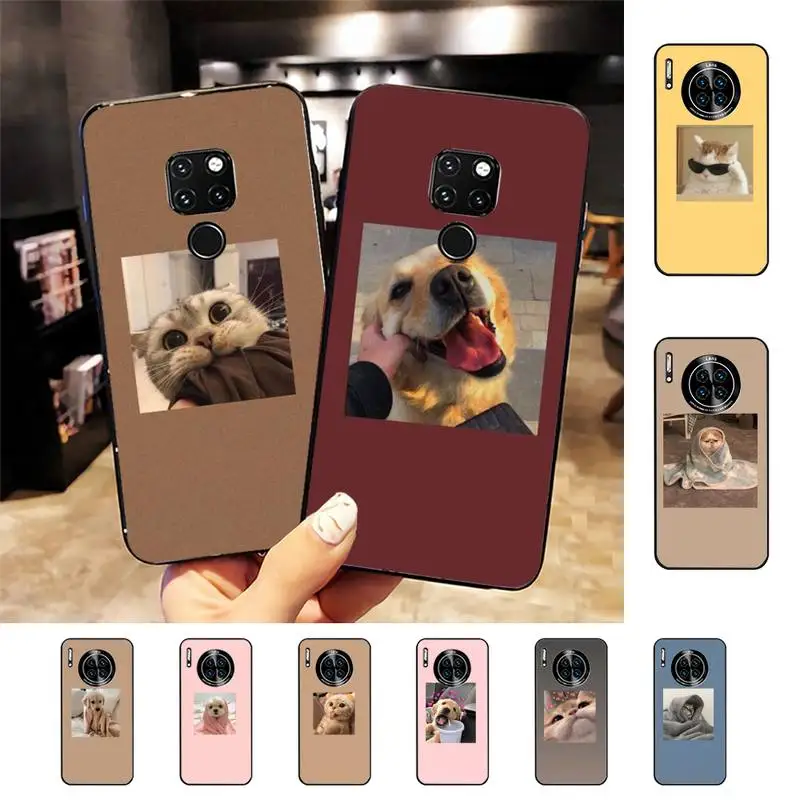 Cute Animals Cat Dog Cartoon Phone Case for Samsung A51 A30s A52 A71 A12 for Huawei Honor 10i for OPPO vivo Y11 cover
Cute Animals Cat Dog Cartoon Phone Case for Samsung A51 A30s A52 A71 A12 for Huawei Honor 10i for OPPO vivo Y11 cover