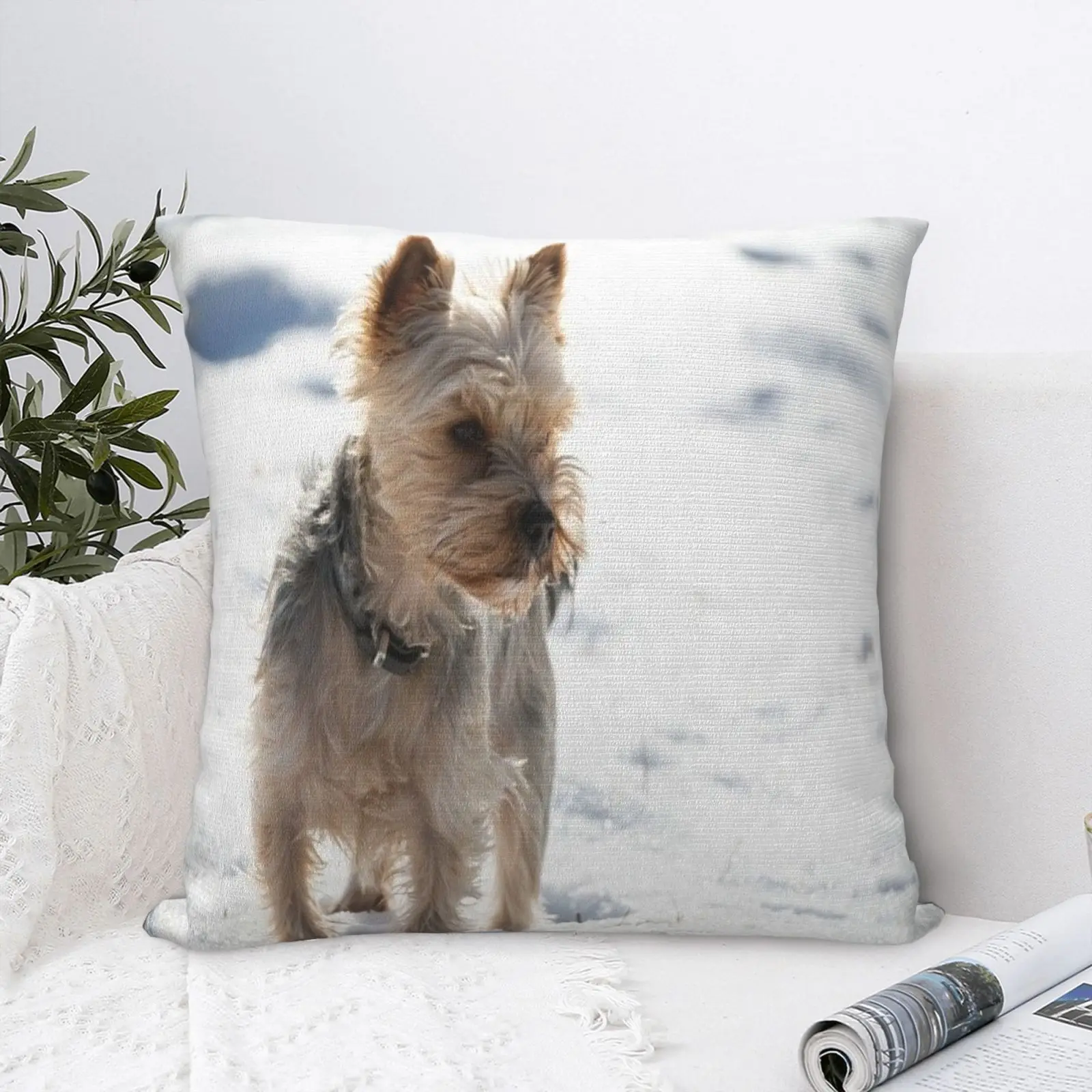 Bichon Yorkie 13 наволочка для подушки, Наволочки для подушек, наволочки для подушек, наволочки для подушек, декоративные наволочки для подушек «сд...
Bichon Yorkie 13 наволочка для подушки, Наволочки для подушек, наволочки для подушек, наволочки для подушек, декоративные наволочки для подушек «сд...
