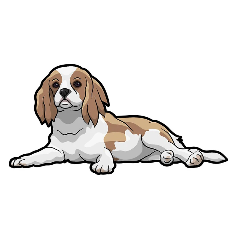 Cavalier King Charles Spaniel Vinyl Material Car Stickers Graffiti Decal Custom Printing Decoration KK
Cavalier King Charles Spaniel Vinyl Material Car Stickers Graffiti Decal Custom Printing Decoration KK