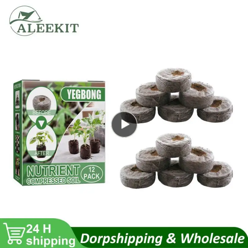 Soil Blocks Flowers And Vegetables Planting Cultivation High-quality Seedling Soil Block Healthy And Strong Seedling
Soil Blocks Flowers And Vegetables Planting Cultivation High-quality Seedling Soil Block Healthy And Strong Seedling