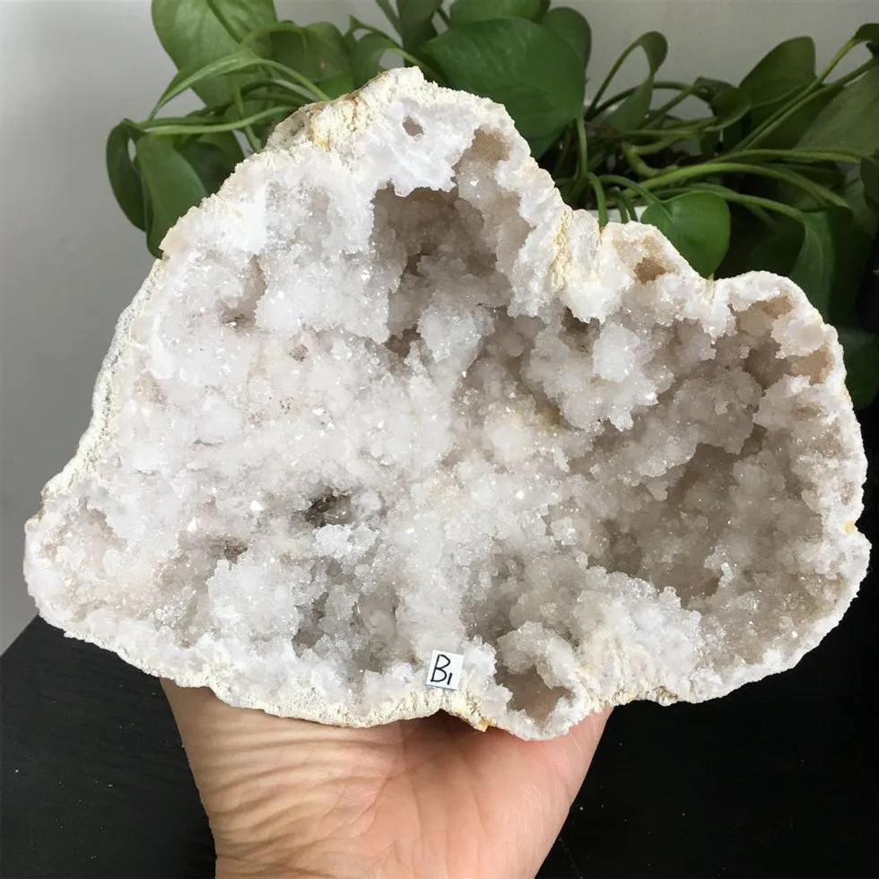 50-180mm Natural White Crystal Cluster Agate Geode Rough Jewelry Box Point Energy Healing Teaching Specimen
50-180mm Natural White Crystal Cluster Agate Geode Rough Jewelry Box Point Energy Healing Teaching Specimen