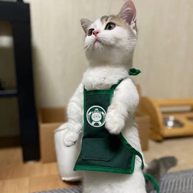 Korean Dog Cat Bib Lovely Work Clothes Apron Pet Saliva Towel Kitten Puppy Bib Bandana Small Medium Large Dogs Accessories
Korean Dog Cat Bib Lovely Work Clothes Apron Pet Saliva Towel Kitten Puppy Bib Bandana Small Medium Large Dogs Accessories