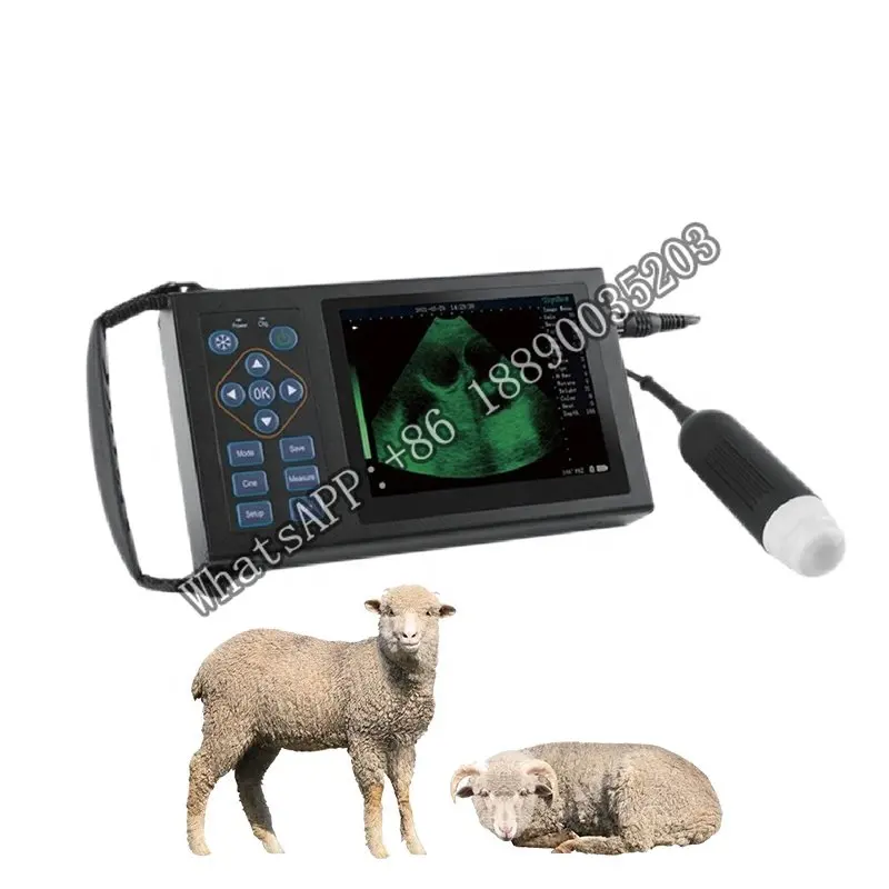 Cheap Pasture Animal Ultrasound Machine Pregnancy Scanner Medical Portable Veterinary Ultrasound For Cows Sheep Livestock
Cheap Pasture Animal Ultrasound Machine Pregnancy Scanner Medical Portable Veterinary Ultrasound For Cows Sheep Livestock