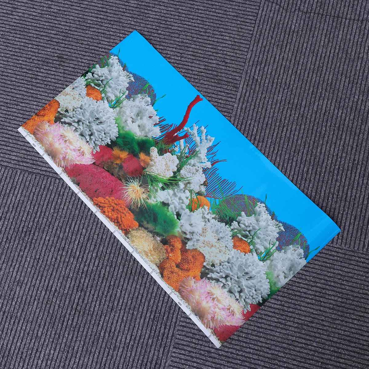 3d Aquarium Background 3d Picture 10 Gallon Fish Tank Background Fondos De Pantalla 3d Double Sided Backdrop Decor
3d Aquarium Background 3d Picture 10 Gallon Fish Tank Background Fondos De Pantalla 3d Double Sided Backdrop Decor