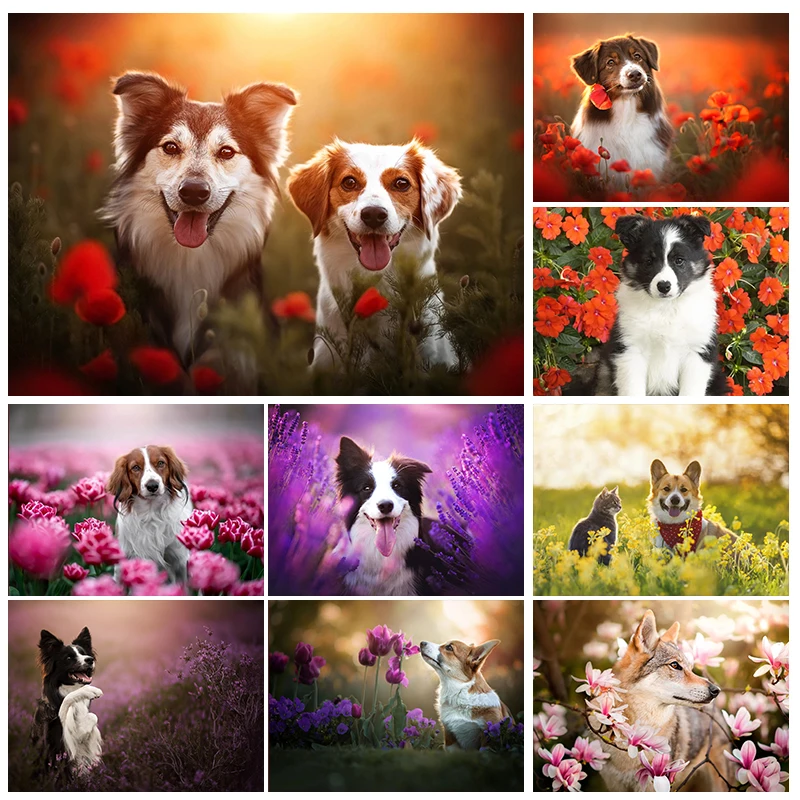 5D DIY Diamond Painting Flowers and Dog Diamond Embroidery Painting Full Round Diamond Mosaic DIY Rhinestone Home Decor Gift
5D DIY Diamond Painting Flowers and Dog Diamond Embroidery Painting Full Round Diamond Mosaic DIY Rhinestone Home Decor Gift