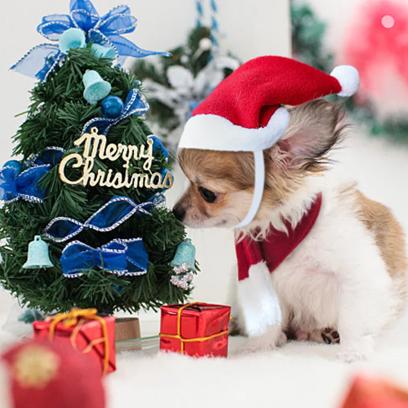 Pet Christmas Hat Cat Dog Red Scarf Adjustable Short Plush Fashion Set for Puppy Kitten Small Animals Hats Scarf Cat Accessories
Pet Christmas Hat Cat Dog Red Scarf Adjustable Short Plush Fashion Set for Puppy Kitten Small Animals Hats Scarf Cat Accessories