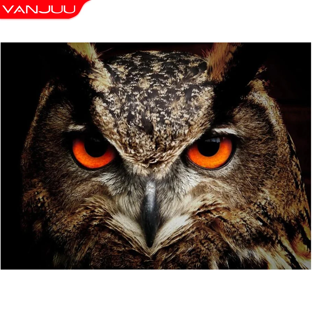 Diamond Painting 5D Nocturnal Animals Full Drill Diamond Embroidery Owl Mosaic Art Picture of Rhinestones Home Decor
Diamond Painting 5D Nocturnal Animals Full Drill Diamond Embroidery Owl Mosaic Art Picture of Rhinestones Home Decor