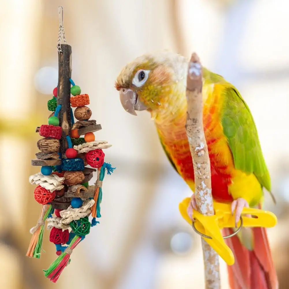 Bark Bird Toy Colorful String Combo Bird Toys for Chewing Teething Stress Relief Natural Material Peony Bird Toy for Boredom
Bark Bird Toy Colorful String Combo Bird Toys for Chewing Teething Stress Relief Natural Material Peony Bird Toy for Boredom
