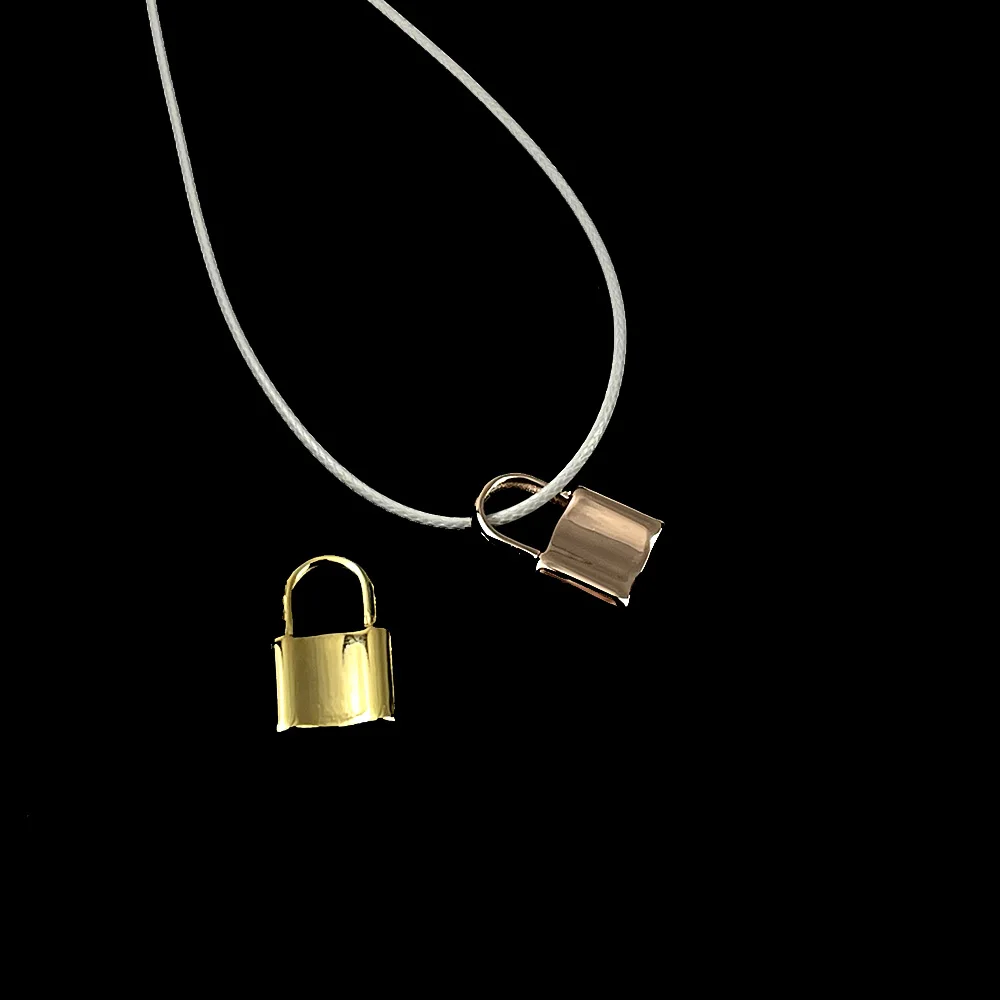 Necklace for Women Personalized Lock Shape Stainless Steel Pendant Necklaces Trend Rope Choker Jewelry Gift Collier Personnalisé
Necklace for Women Personalized Lock Shape Stainless Steel Pendant Necklaces Trend Rope Choker Jewelry Gift Collier Personnalisé