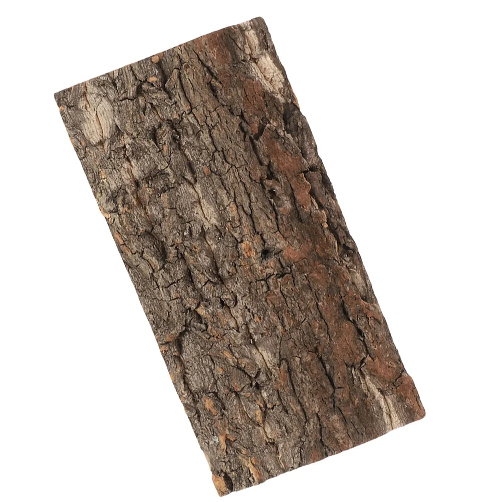 Supplies Reptile Bark Aquarium Background Board Frog Terrarium Accessories Fish Tank
Supplies Reptile Bark Aquarium Background Board Frog Terrarium Accessories Fish Tank