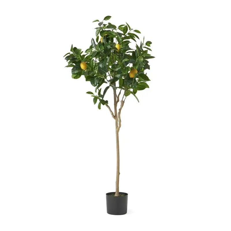 5' x 2' Artificial Tabletop , Green Artificial plants for home decor Party decorations for events Wisteria hanging flowers White
5' x 2' Artificial Tabletop , Green Artificial plants for home decor Party decorations for events Wisteria hanging flowers White